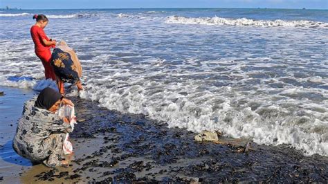 Limbah Batu Bara Cemari Pantai Di Aceh Tempo Co