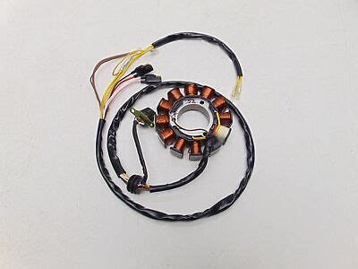 Ricks Motorsport Electric Stator Ebay