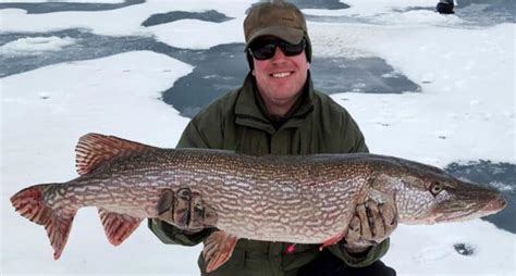 29 Northern Pike Fishing Tips You Need to Know – Northern Pike Fishing Tips