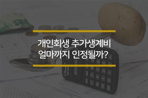 개인회생 추가생계비 얼마까지 인정될까 서울회생법원 네이버 블로그