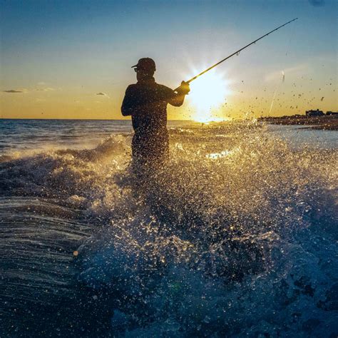 Quelle Canne à Pêche Pour La Mer Leurre De La Pêche