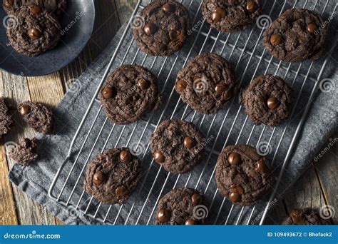 Homemade Dark Double Chocolate Chip Cookies Stock Photo Image Of