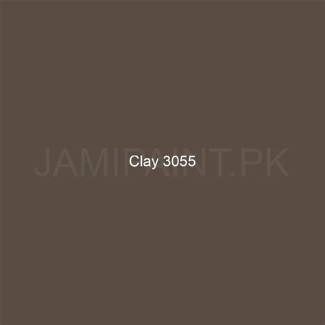 Brighto Synthetic Enamel Clay 3055 Jami Paint