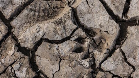 Agua El Gran Reto En Un Planeta Caliente El Periódico