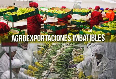 Frutas Y Hortalizas Agroexportaciones Imbatibles El Montonero