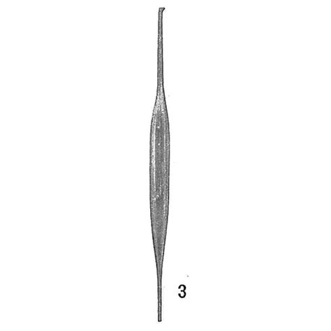 Procerolagena Gracilis Unknown None Recent Holocene Quaternary