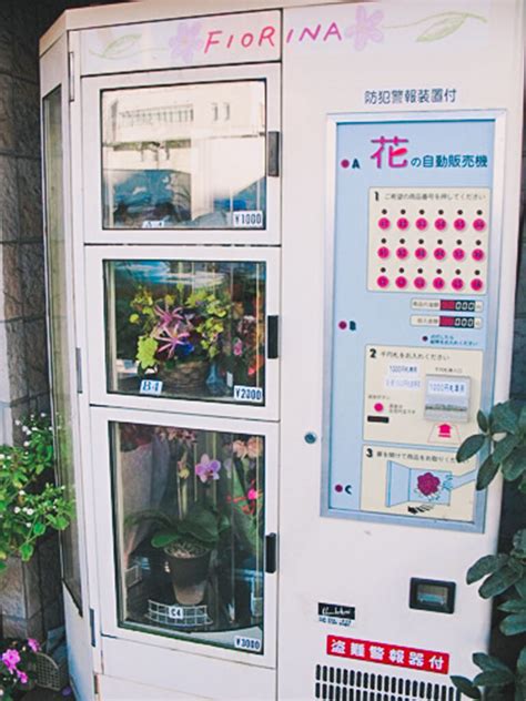 Amazing Vending Machines You Won T Believe Exist In Japan The