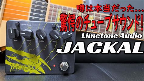 驚愕のチューブサウンドLimetone Audio JACKAL Gibson Les Paul Classic エフェクター