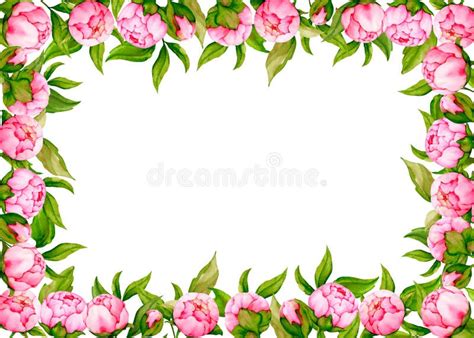 Rectangular Frame Of Pink Peonies Watercolor Banner Stock Illustration