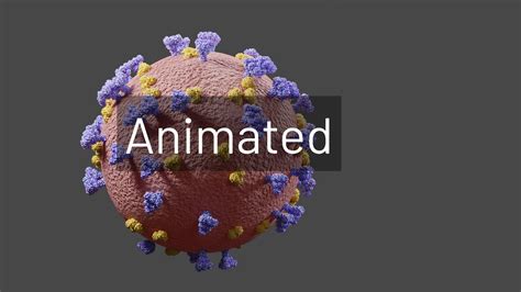 Corona Virus With Animation Free 3d Model Animated Cgtrader