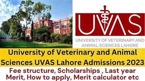 University Of Veterinary And Animal Sciences Uvas Lahore Admissions