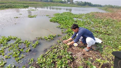 New Hook Fishing Smart Boy Catching Fish By Village Vill Best Hook