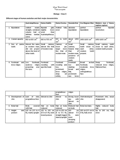 Different Stages Of Human Evolution And Their Major Characteristics Pdf