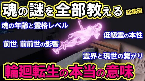 【2ch不思議体験】魂の仕組み全部教える！魂の年齢と霊格レベル。輪廻転生の意味とは？前世、前前世からの影響は？霊界とこの世の繋がり 総集編