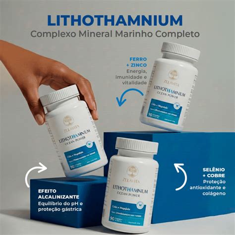 Lithothamnium O Que É - Kit 3 LITHOTHAMNIUM Premium [quantidade] | Zelavita - A essência da ...