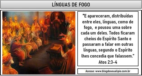 LINGUAS DE FOGO Blog Do Seu Alipio