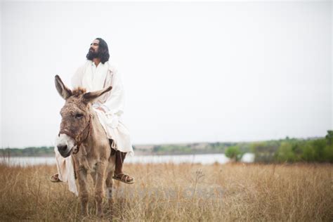 Jesus And A Donkey Stock Photos Pearl