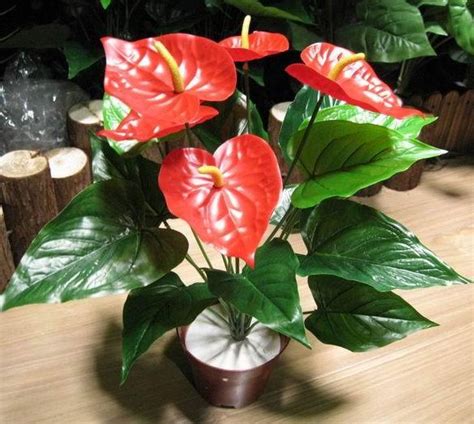 Купить растения Антуриум шелк цветок искусственный цветок искусственный ...