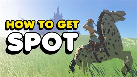 How To Get Spot In Zelda Tears Of The Kingdom Spotting Spot Side Quest