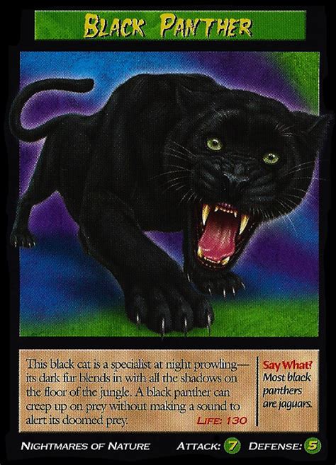 Black Panther Tcg Weird N Wild Creatures Wiki Fandom Powered By Wikia