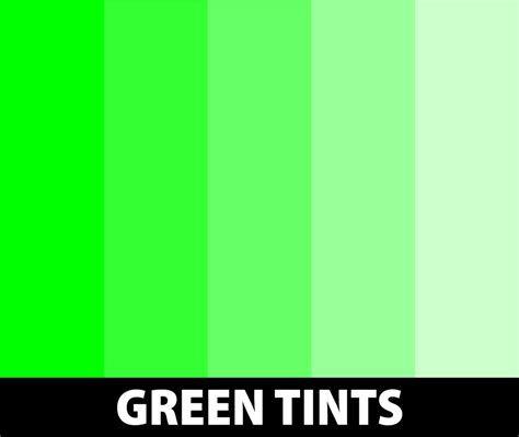 237+ Shades of Green Color (Names, HEX, RGB, & CMYK Codes ...