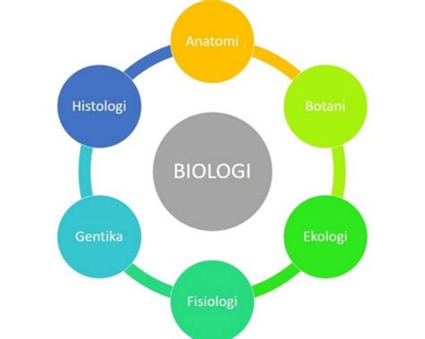 Cabang Ilmu Biologi Ada 10 Cabang Untuk Dipelajari Anak IPA Kumparan