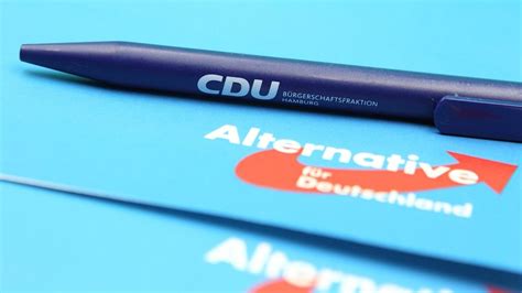 CDU und AfD Kommt bald eine Koalition CDU Wähler sind uneins