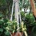 Macrame Hanging Planter Persia Etsy