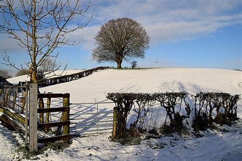 Tree On A Hill Dunmullan Kenneth Allen Cc By Sa Geograph Ireland