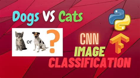 Dogs Vs Cats Image Classification Using Python Cnn Deep Learning