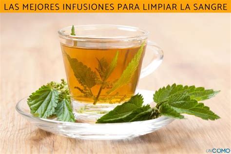 Las Mejores Infusiones Para Limpiar La Sangre Elimina Las Toxinas Y