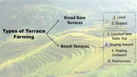 Terrace Farming In India Comprehensive Guide For 2024