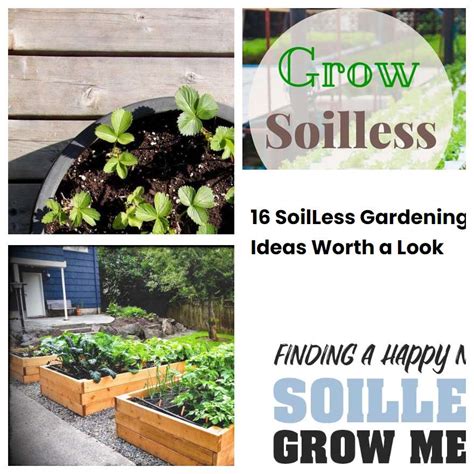 16 SoilLess Gardening Ideas Worth A Look SharonSable