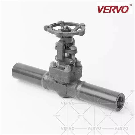 ASTM A350 LF2 Gate Valve Extended Body 1 Inch 800 LB Vervo