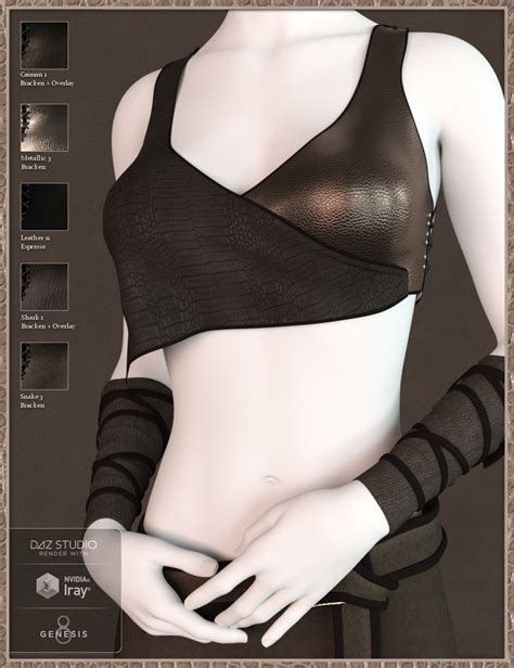 Leather Shader Presets 2 For Iray Daz 3D