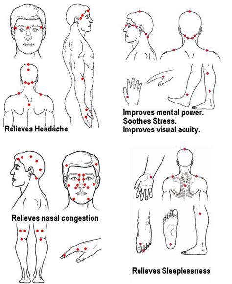 Meridians Of The Body Acupressure Massage Acupressure Treatment