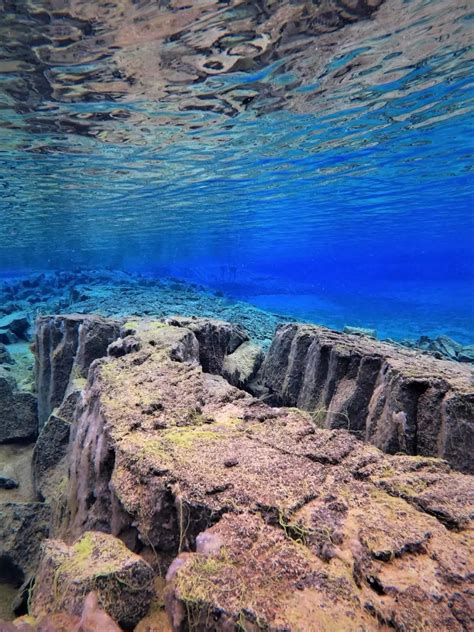 Snorkelling in Silfra fissure is an otherworldly experience