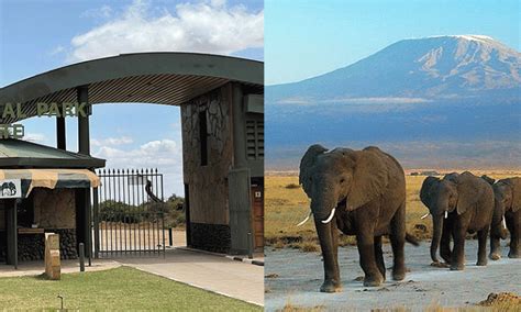 Amboseli National Park Fees 2024 2025 Kenya Wildlife Safaris