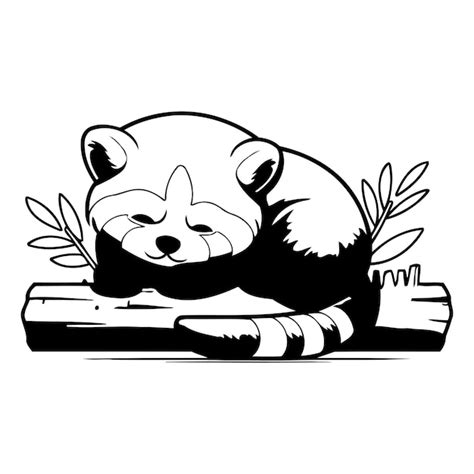 Lindo Panda Vermelho Dormindo Em Um Tronco Ilustra O Vetorial Vetor