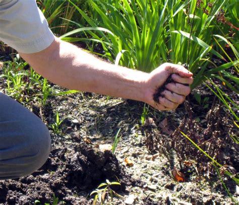 What To Do About Compacted Soil Gardening In Michigan