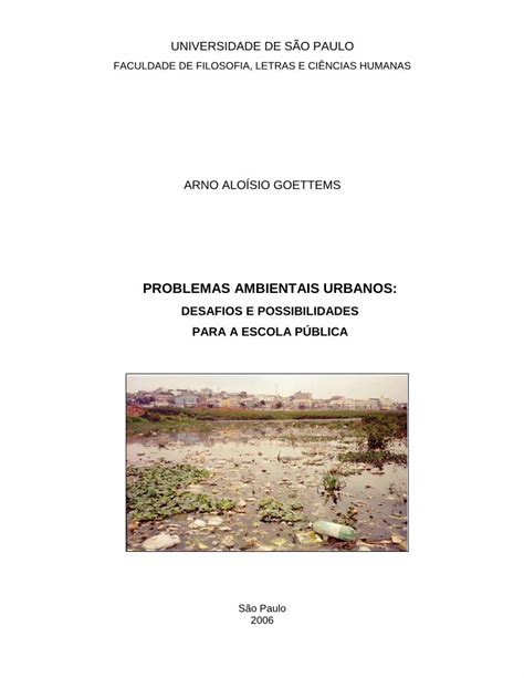 PDF PROBLEMAS AMBIENTAIS URBANOS Teses Usp Br PROBLEMAS