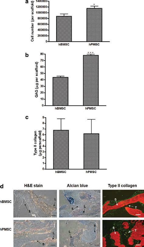 Figure 8 From Chondrogenesis From Human Placenta Derived Mesenchymal