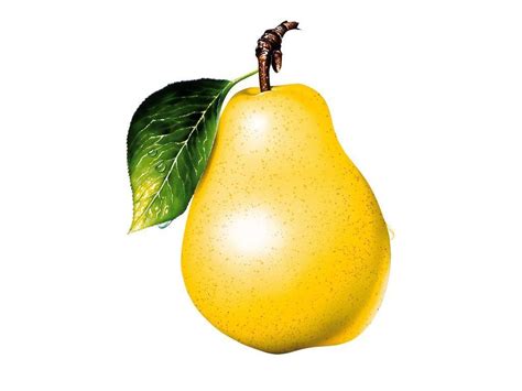 Pear Wallpapers Wallpaper Cave