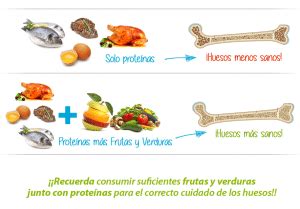 Alimentos buenos para los huesos Clínica Martín Gómez Traumatólogos