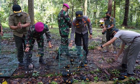 Digagalkan Penyelundupan Ribuan Burung Asal Lampung Ke Jawa