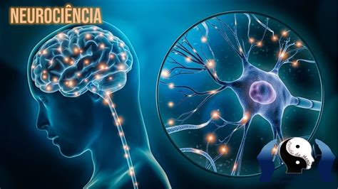 Neuroci Ncia Uma Forma De Entender O Comportamento Da Mente Est Dio