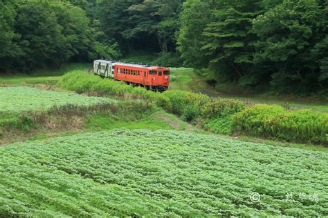 烏山線あれこれ 一鉄草魂 鉄道風景乗車記ときどき名所とグルメ