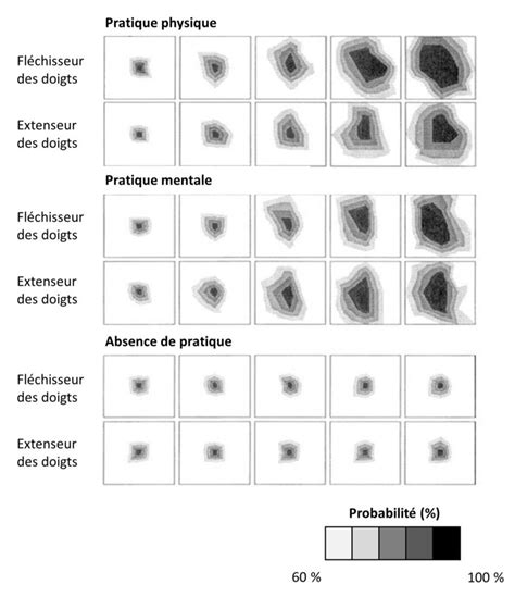 Adaptée de Pascual Leone et al 1995 Réorganisation corticale