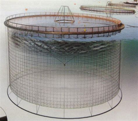 Fish Farm Nets | Morenot Canada Ltd