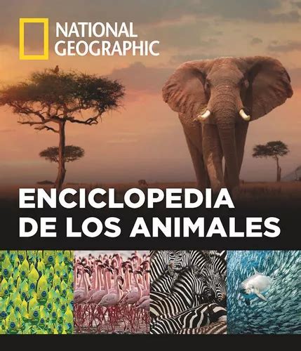 Enciclopedia De Los Animales De Vários Autores Editorial National